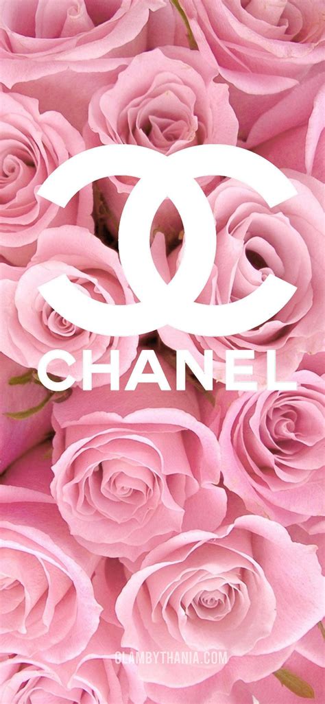 light pink chanel wallpaper|chanel logo in pink.